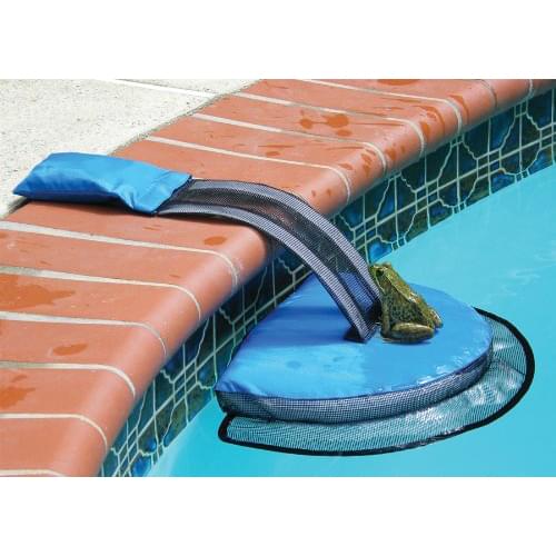 Swimline FROGLOG - Critter saving escape ramp